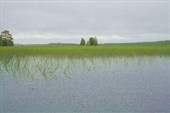 Озеро Гагаринское