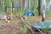 Лагерь в березняке.