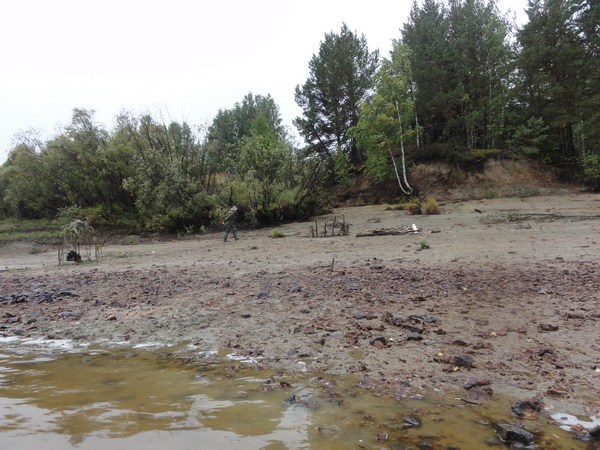 Придирчивый осмотр.