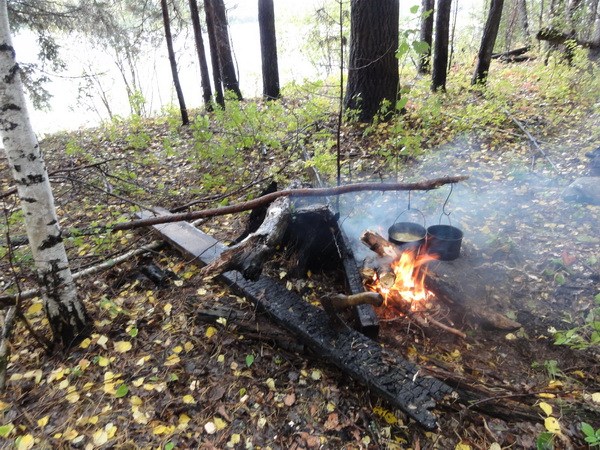 Спрятались от дождя и ветра.