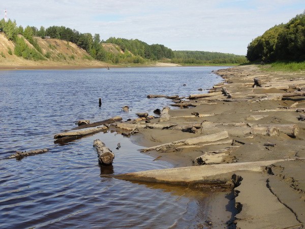 Бревна вросли в песок.