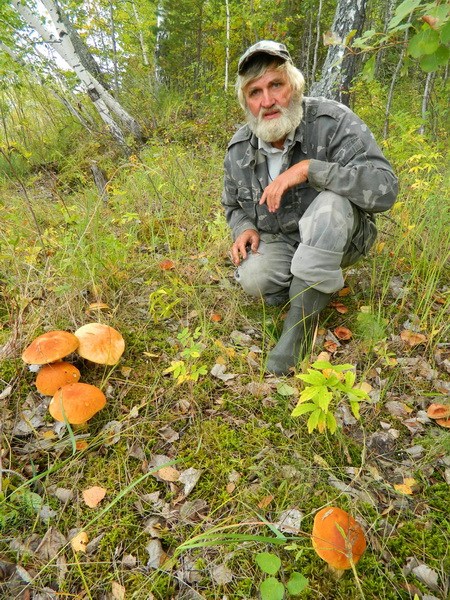 Грибной рай.