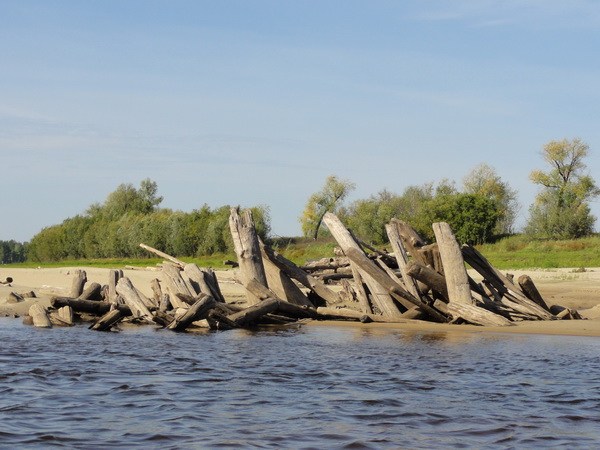 Бревна вросли в песок.