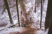 IMG_1067