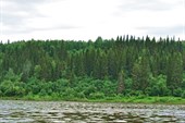 Печора, правый берег