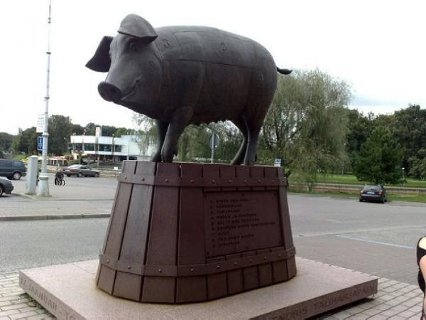 Скульптура свиньи г.Тарту