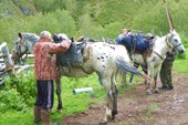 Тайная закладка в арчимак лекарства для конюха