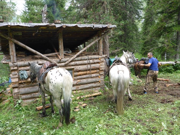 Начинающий конюх Артём