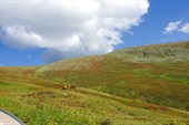 Сайлюгемский национальный парк. Егеря на лошадях.