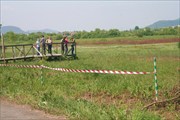 А Киреши знамениты свой Долиной Нарциссов. 