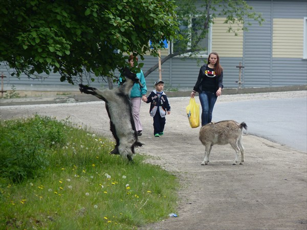 В Нижнеангарске