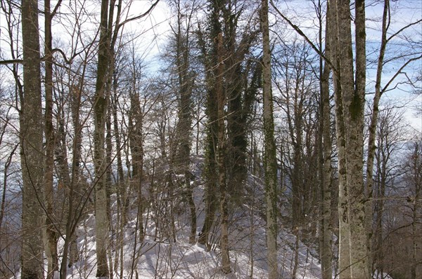 IMGP3095