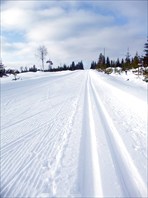 Через Финляндию от границы до границы на лыжах (444км). Автор: М
