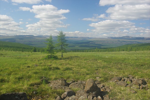 IMGP6106