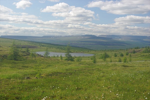 IMGP6109