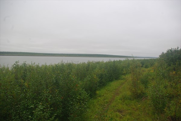 IMGP6473