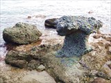 Каменный гриб