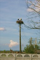 Аисты-село Каштановое