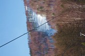 IMG_0396