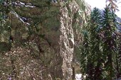 каменный угол Гегского ущелья