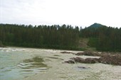 IMG_4730