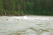 IMG_4735