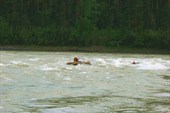 IMG_4736