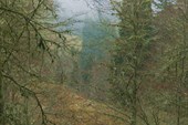 Панорама_5