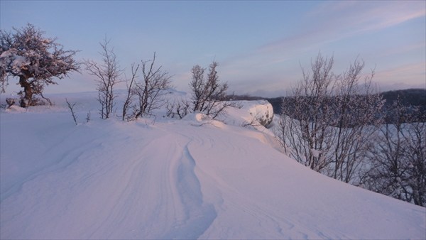 Розовые холмы