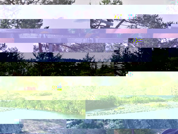 М.Безымянный Наволок.