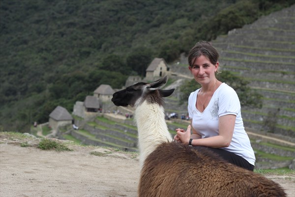 Лама в Мачу-Пикчу с Катей