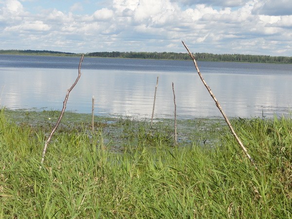 Здесь бывают рыбаки.