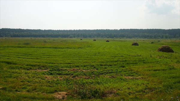 Начинаются поля