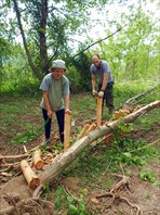 Очистка бревен