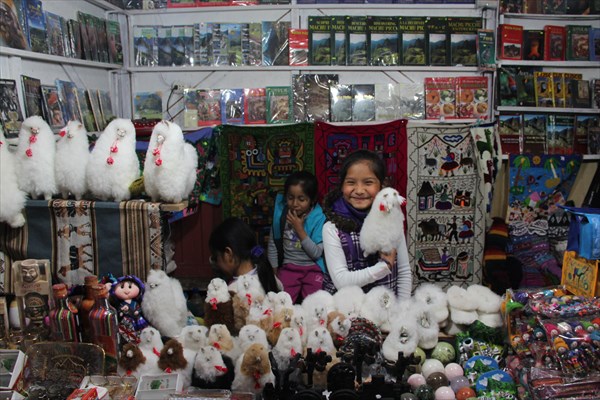 Маленькая девочка продает альпак