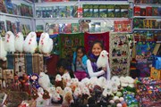 Маленькая девочка продает альпак