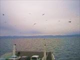 Gibraltar