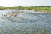 Б.Лахорта мели и размывы.