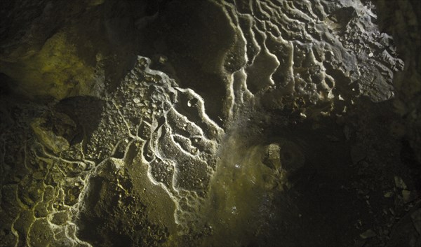 Марсиане насадили свой ландшафт )