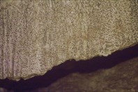 Рельеф стен-пещера Мариинская