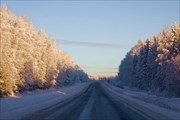 Сказочный лес..А в Москве сейчас дожди..