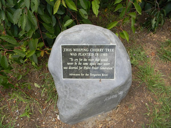 Мемориальный камень для плакучей ивы