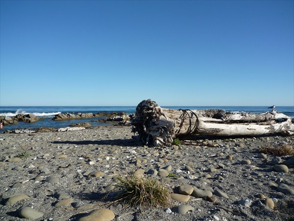 Waipapa Bay