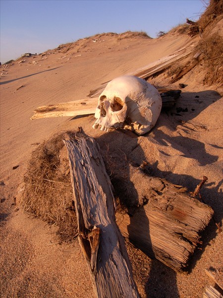 Кладбище в песках размывает ветрами, обнажая кости