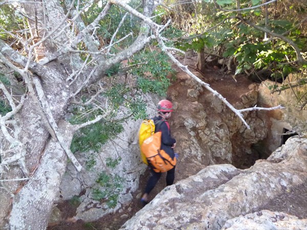 Cova del Pont