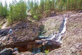 IMG_3551