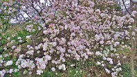 IMG_20220419_114759