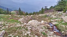 IMG_20220418_163306