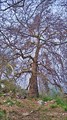 IMG_20220418_182952