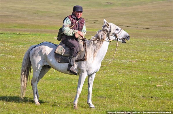 Киргиз-чабан